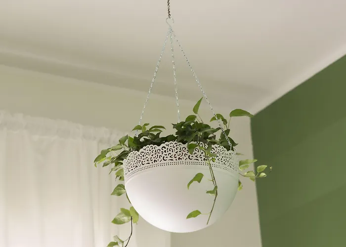 Panzió Antico Mercato *